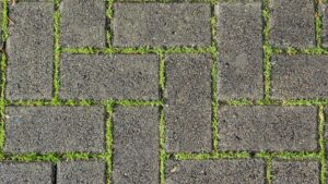 how to lay paving slabs on grass