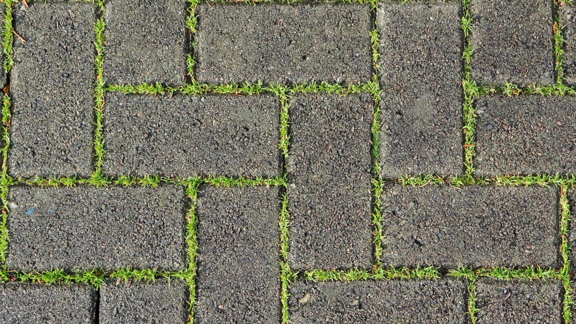 Ultimate Guide To How To Lay Paving Slabs On Grass CM Concrete